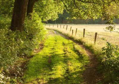 wandelcoaching