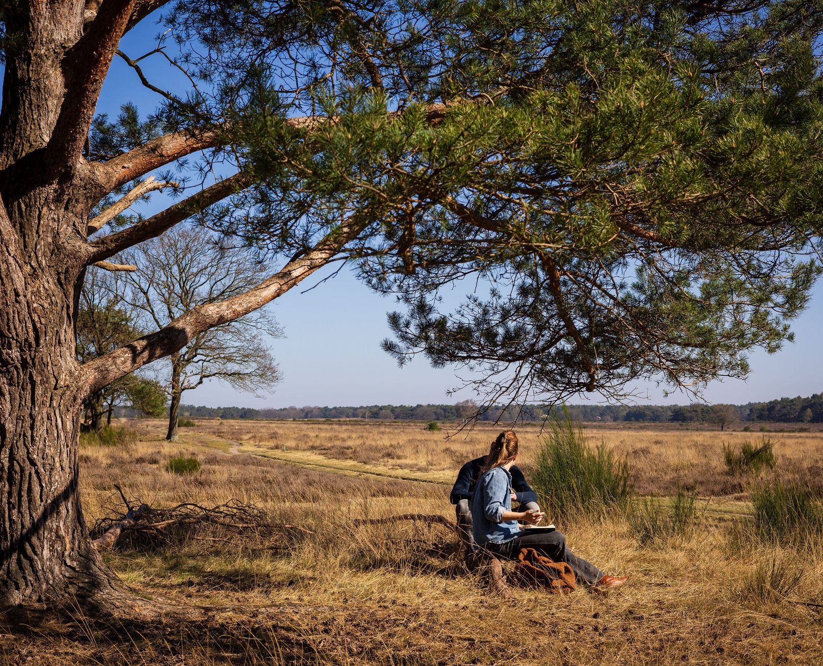 Maaike Houtenbos re-integratie coach 2e spoor Hilversum 